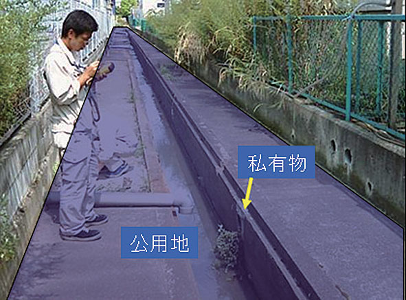 現地調査の様子