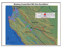 Monterey 郡における西ナイルウィルス監視重点地区