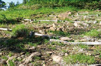 GISを活用した自然公園の利用者管理支援システム