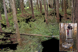 3次元レーザーを用いた森林資源量把握。新たな持続的森林管理