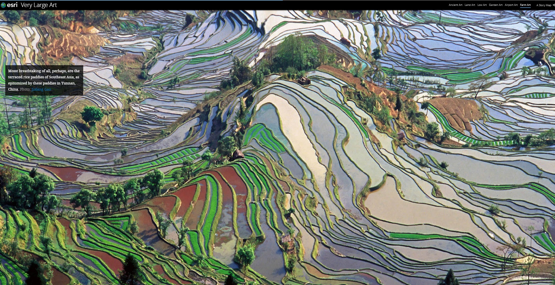 6.ファーム アート