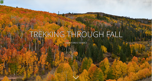 米国フォレストサービス（USFS：米国農務省林野部）が作成した紅葉ストーリーマップ