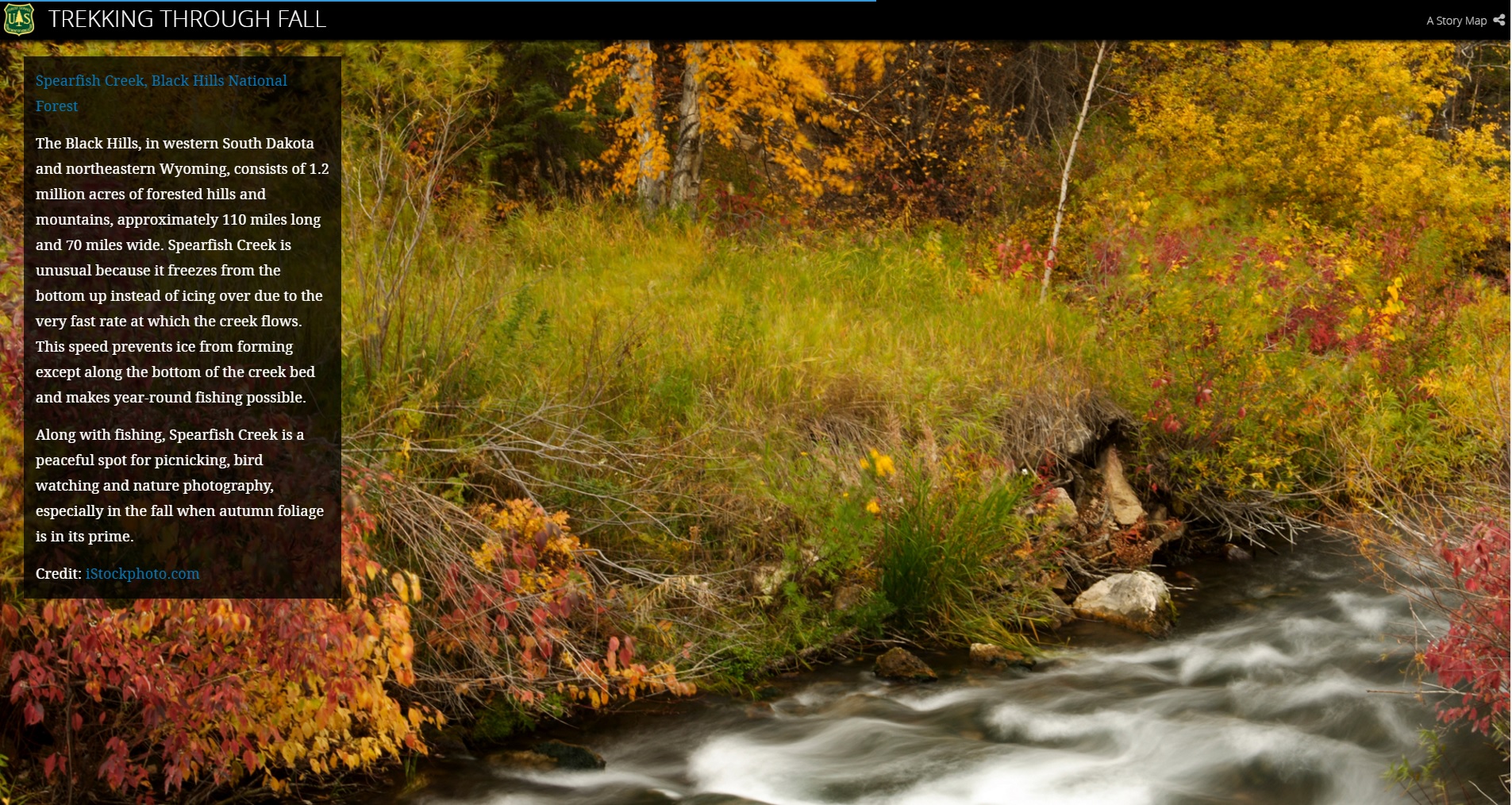 4. ブラック ヒルズ国立森林公園（サウスダコタ州・ワイオミング州）
