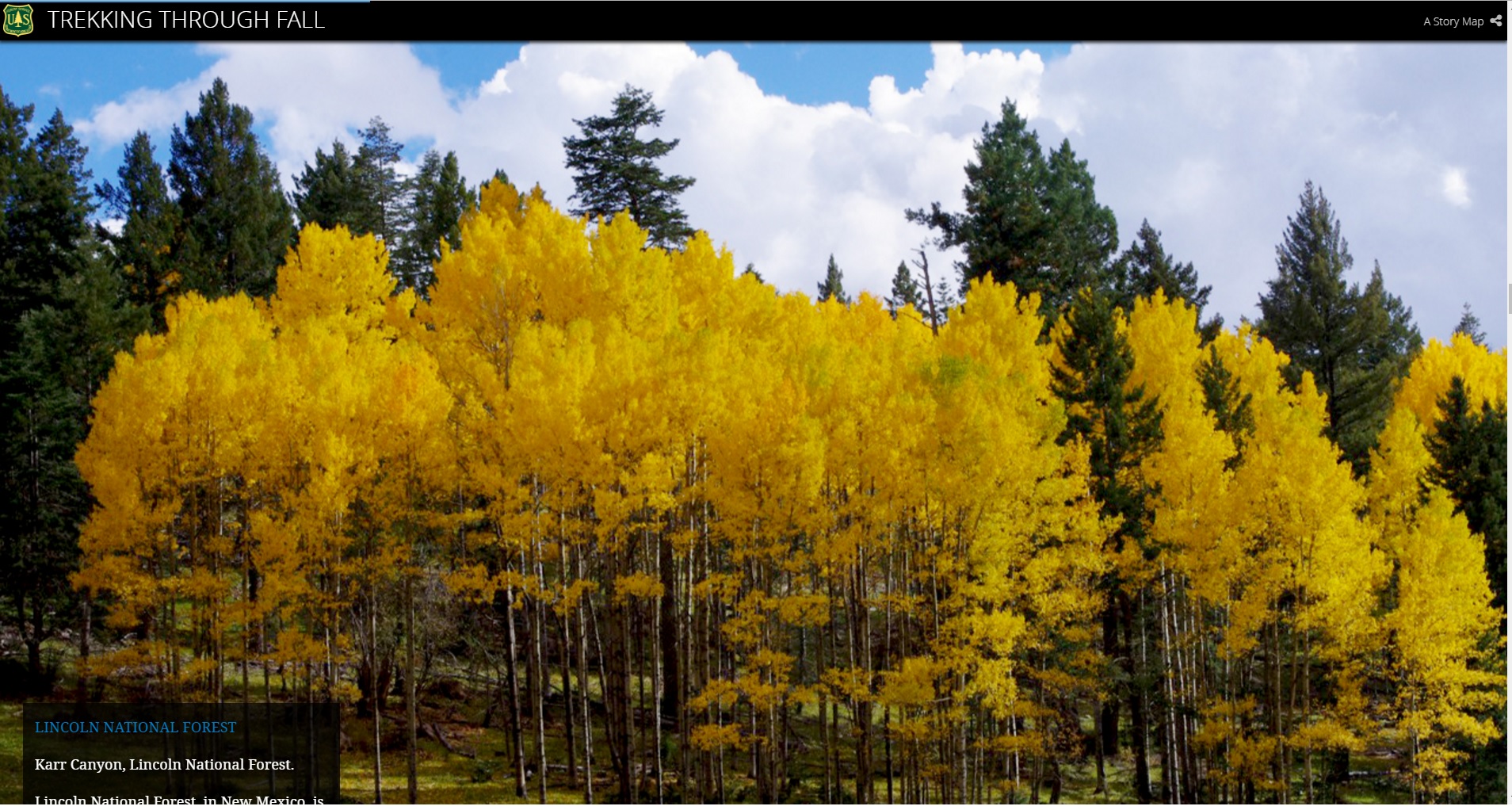 3. リンカーンナショナルフォレスト（ニューメキシコ州）