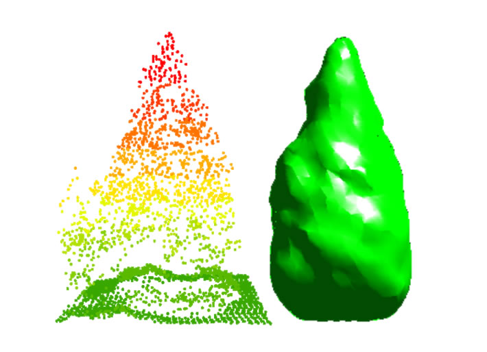 航空機レーザーデータにラッピング法を
適用して把握した樹冠構造
(ラッピング法に関しては Kato et al., Remote Sensing
of Environment 113(6), 1148-1162 を参照)