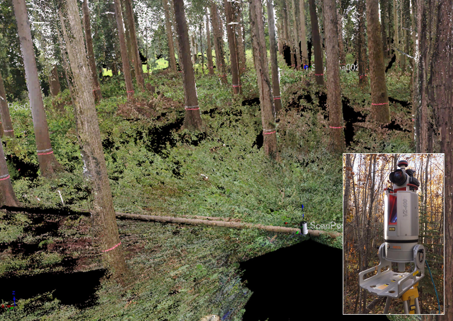 レーザーを用いた精密な森林
(RIEGL社製レーザーによって計測したデータを表示)