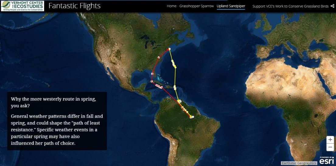 行きと帰りでは飛行ルートが全く異なった
