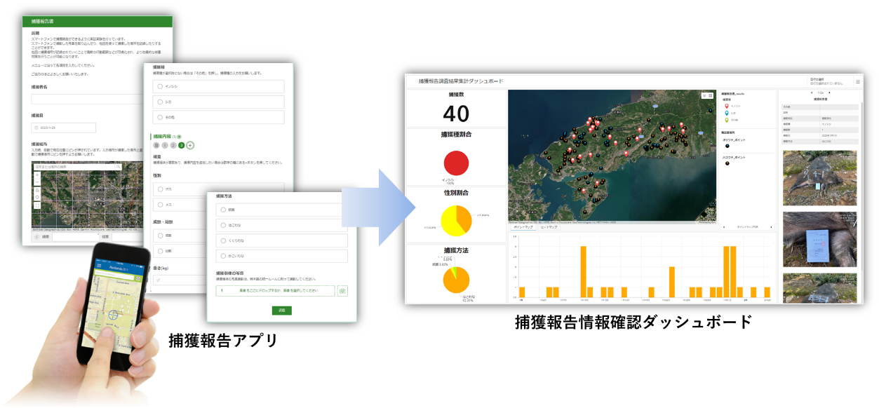 スマートフォンアプリによる捕獲報告および集計業務のDX化のイメージ
