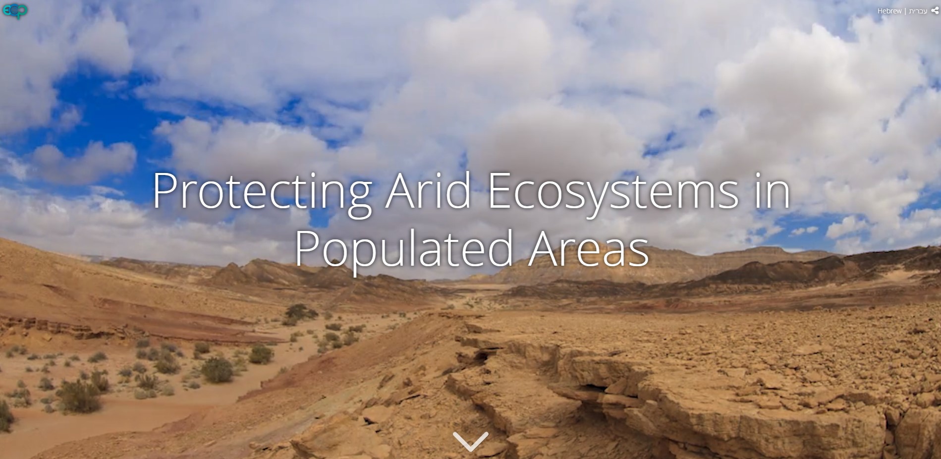 イスラエルの砂漠における開発による自然への影響調査