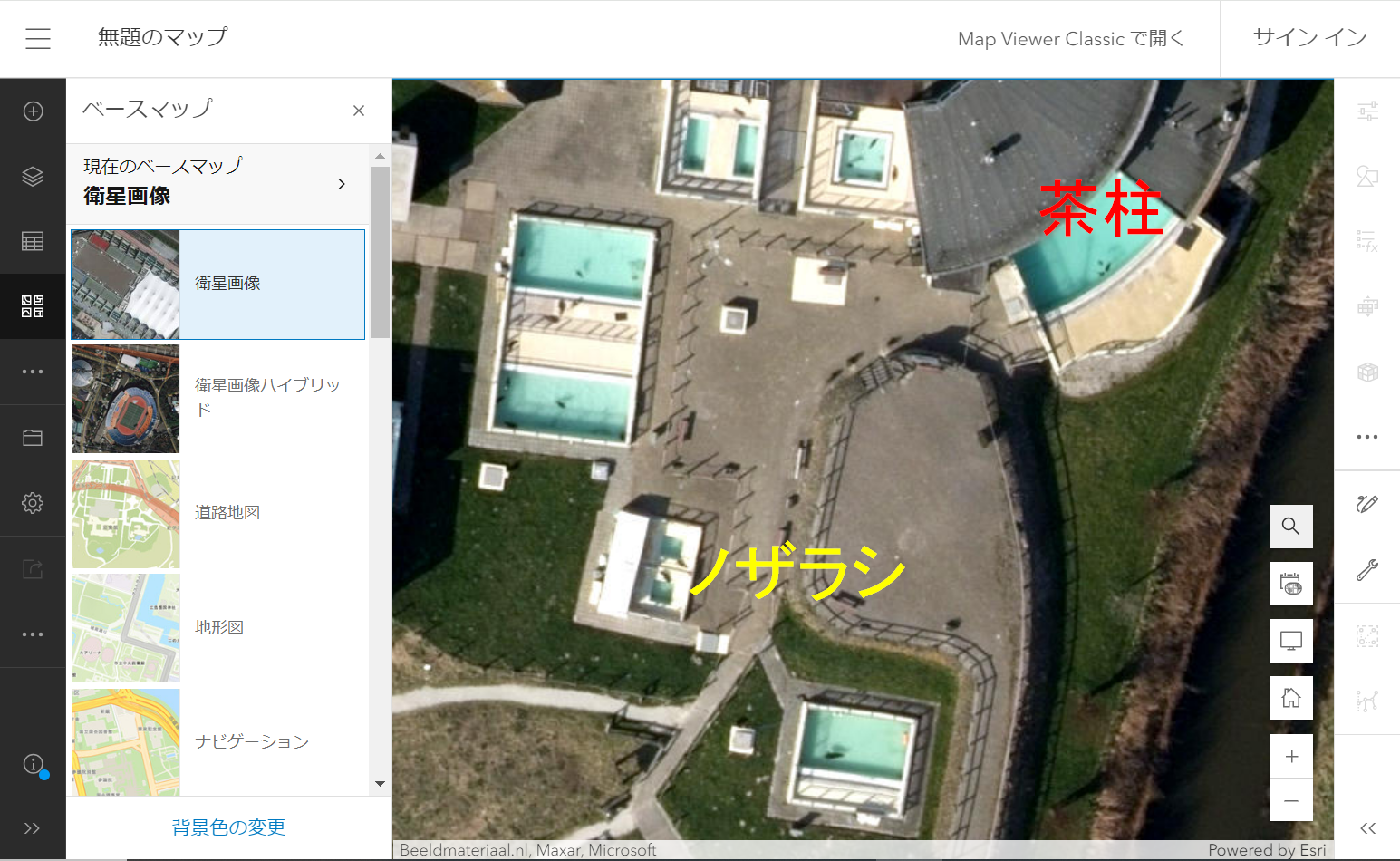 アザラシ幼稚園