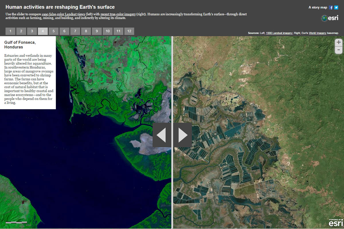 4. フォンセカ湾－ホンジュラス共和国