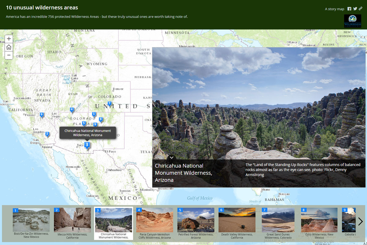 3. アリゾナ州 チリカウワ国立公園