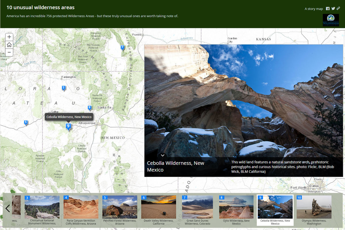 9. ニューメキシコ州 セボラ野生保護区