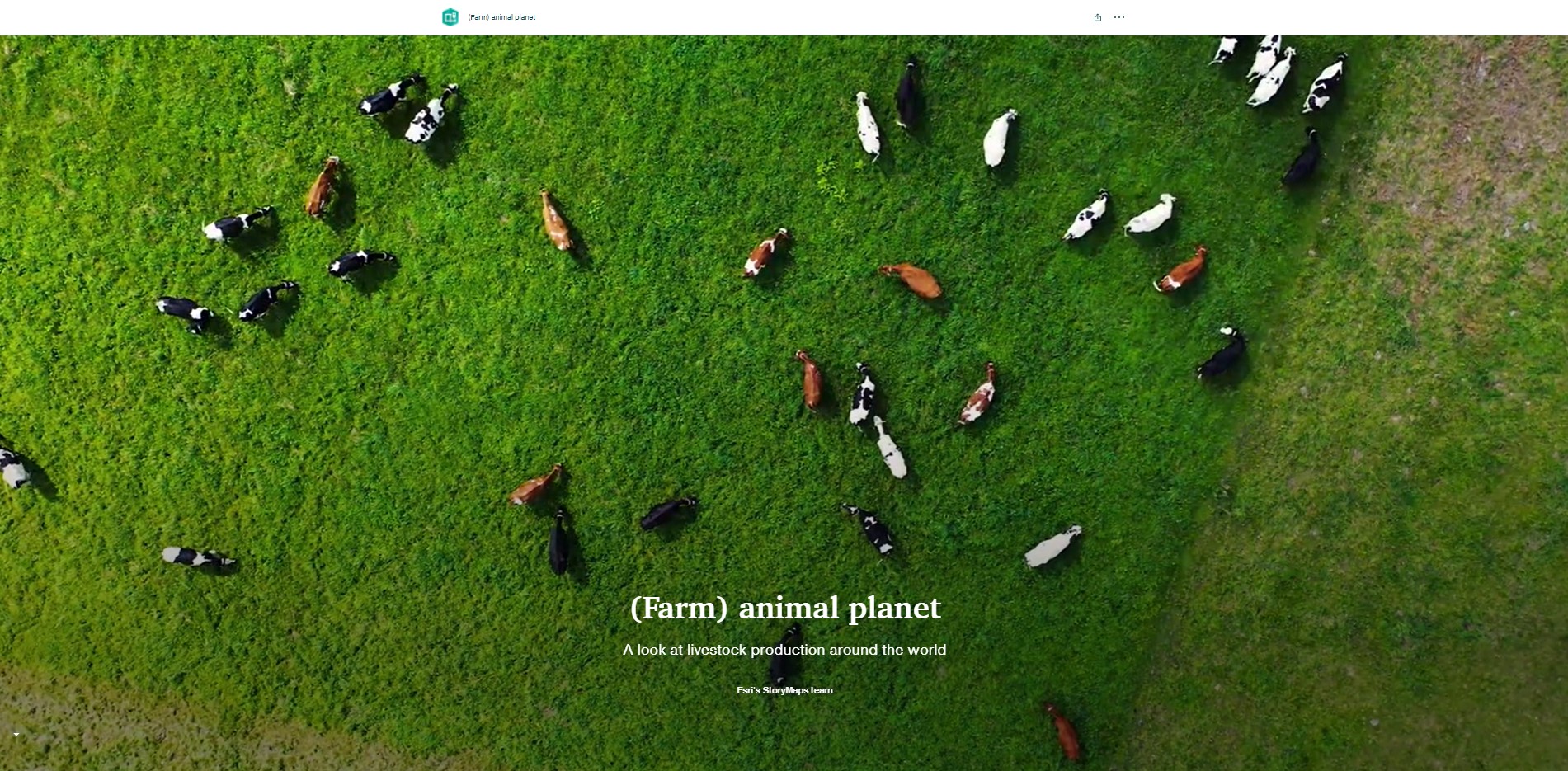 （Farm）animal planet